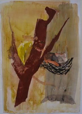 nest
